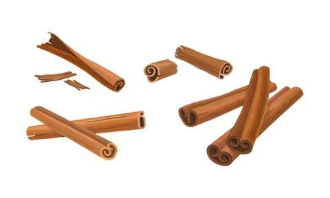 Cinnamon Sticks Vector Set. Cinnamon Barks in Different Positions Isolated on Stock-Illustration