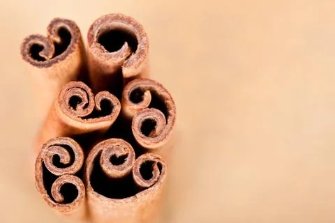 Cinnamon sticks in a warm background with copy-space Stock Photos