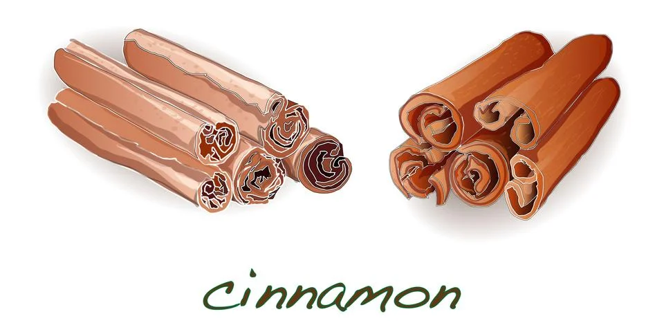 Cinnamon sticks on white background Stock Illustration