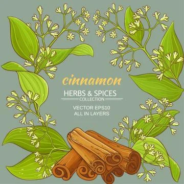 Cinnamon vector pattern Stock Illustration