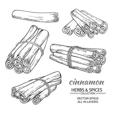 Cinnamon vector set Stock Illustration