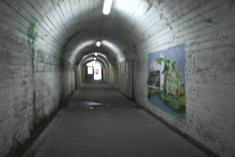 Cinque terre cat Stockbeeldmateriaal 98814