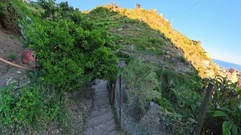 Cinque Terre, Italy - 21 May 2026: Stone Walking Path Through Terraced Hillside Vídeos de archivo 344767660
