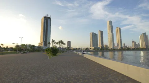 The Cinta Costera park in Panama Stock Footage 51215436
