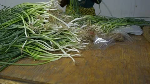 CIPOLLE Video stock 10571824