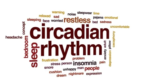 Circadian rhythm animated word cloud, text design animation. Stock Footage 79671902
