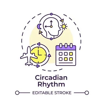 Circadian rhythm multi color concept icon Stock Illustration
