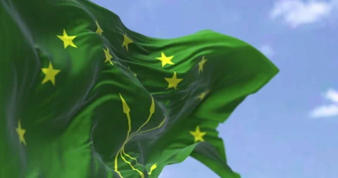 The Circassian flag waving in the wind on a clear day Stock Footage 311463839