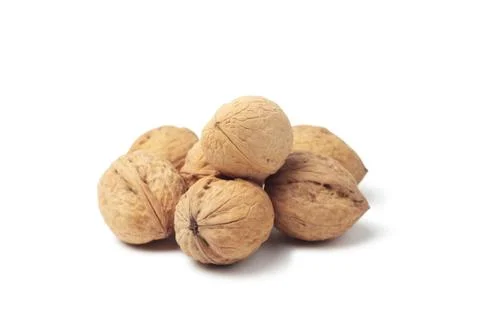 Circassian walnut isolated on the white background Stock Photos
