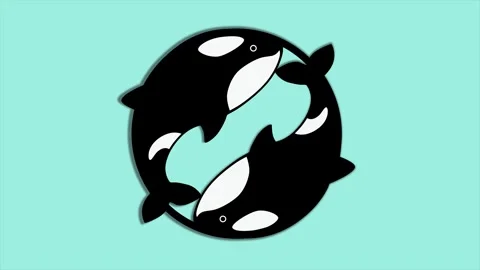 Circle and two killer whale. Abstract loop animation 動画素材 294547867