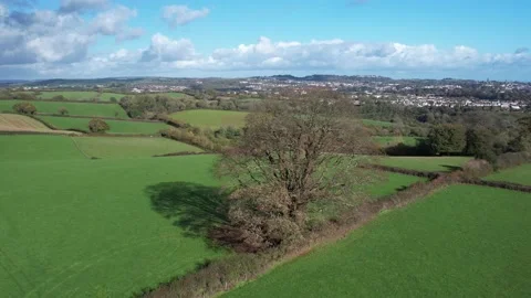 Circle around Old Oak over Fields and Farms, Cockington, Paignton, Torquay, UK Stock Footage 221027034