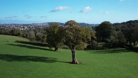 Circle around Tree over Fields and Farms, Cockington, Paignton, Torquay, Devon 動画素材 221030230