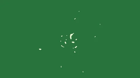 Circle on arrow it black cat 스톡 동영상 337030369