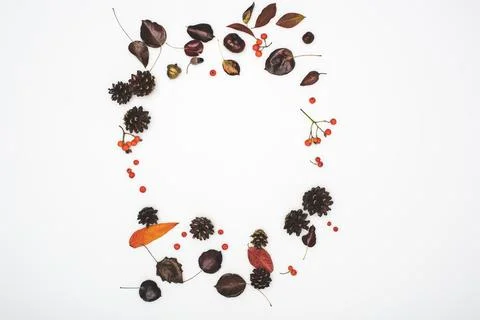 Circle from autumn leaves Stock Photos