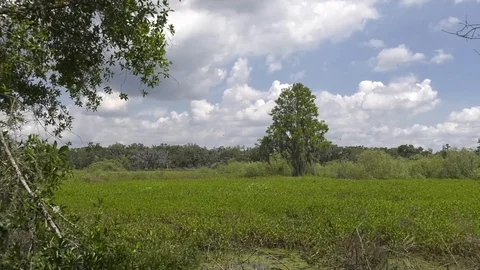 Circle B Bar Ranch Reserve landscape Stock Footage 94271937