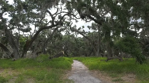 Circle B Bar Ranch scenic pathways Stock Footage 94271857