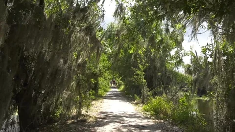 Circle B Bar Ranch Trail Stock Footage 94271929