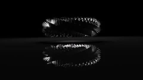 Circle of Black and White Snake Scales moving and a reflection Stock Footage 253588029
