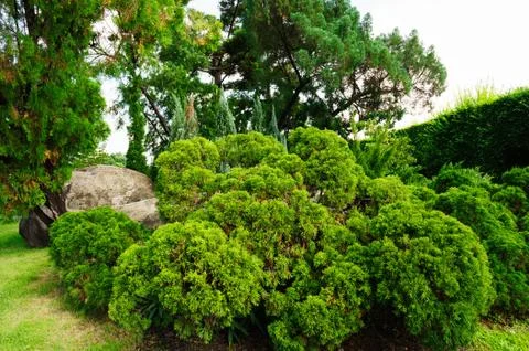 Circle of bush garden are tropical forest in Bangkok, Thailand. Stock Photos
