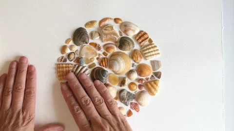  Circle of carefully arranged seashells.  Art project Stock Footage 287518369