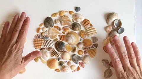  Circle of carefully arranged seashells.  Art project Stock Footage 287520832