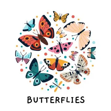 Circle composition with various butterflies on white background. Colorful d.. Stock Illustration