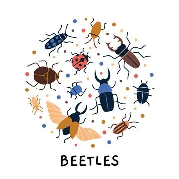 Circle composition with various insects bugs like stag beetle, ladybug, dun.. Stock Illustration