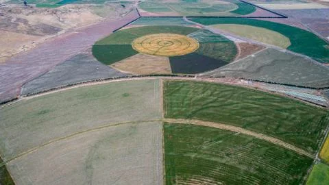 Circle crop fields seen from above Stock Photos