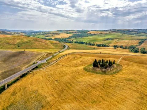 The Circle of Cypress tree Stock Photos
