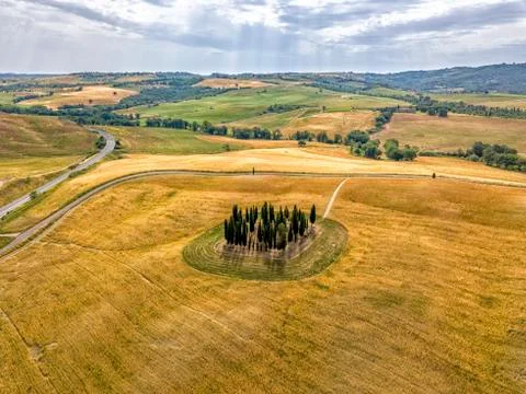 The Circle of Cypress tree Stock Photos
