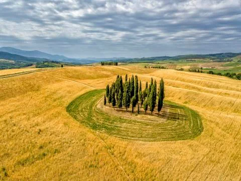 The Circle of Cypress tree Stock Photos