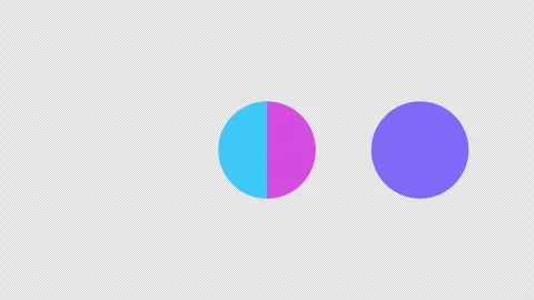 Circle divided into sectors. Stock Footage 264501771