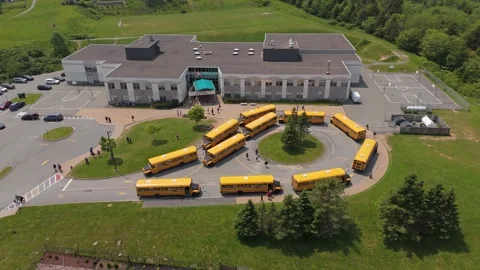 Circle Drive Full Of Yellow School Buses During Sunny Afternoon Pickup Stock Footage 314464748