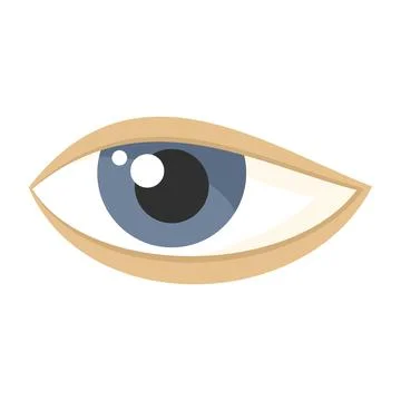 Circle eye icon flat vector. Male health Stock Illustration