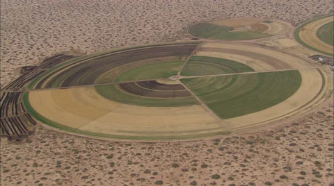 Circle Fields Stock Footage 39888494