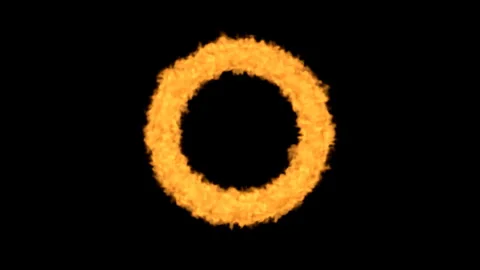 Circle of Flames Stock Footage 327607084