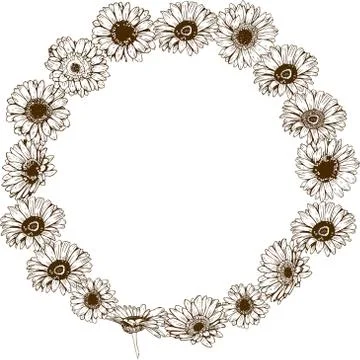 Circle floral frame of detailed hand drawn daisies flowers. Vector illustrati Stock Illustration