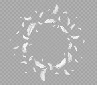 Circle frame of flying white soft bird feathers Illustrazione stock
