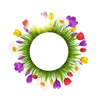 Circle frame with grass flowers and sunlight. Floral nature back Stock Illustration