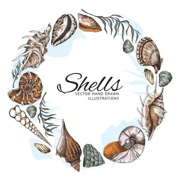 Circle frame with hand drawn shells, vintage engraving vector illustration. Illustrazione stock