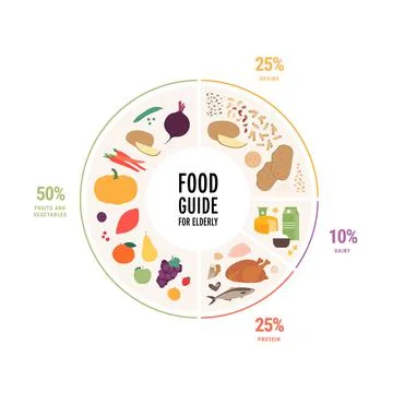 Circle frame infographic chart with recommendation for senior adult diet. Stock Illustration