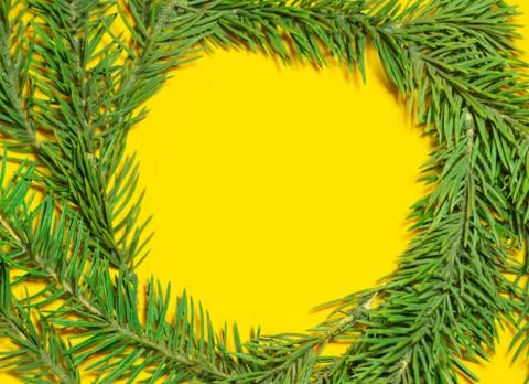 Circle frame made of fir branches on yellow background. Negative space. Merry Stock Photos