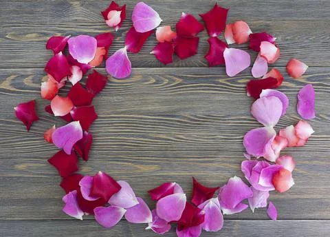 Circle frame made of red and pink rose petals Stock Photos