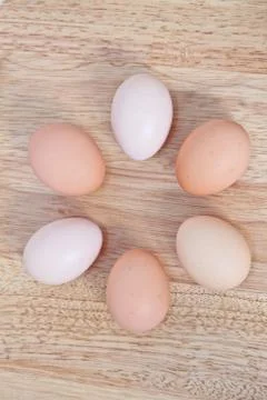 Circle of Fresh Eggs Stock Photos