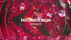 Circle Glass Inspirate Slideshow Stock After Effects