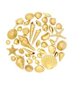 Circle of Gold Seashell Objects Abstract Decoration Stock Photos