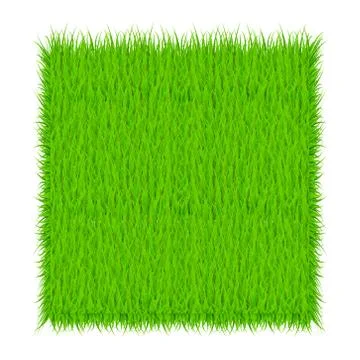 Circle With Grass, Green grass background. Frame. Vector Illustration Stock Illustration