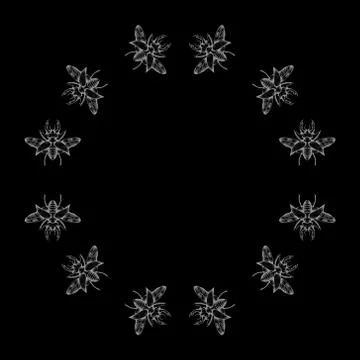 Circle of gray stag beetles on the black background Stock Illustration