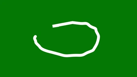 Circle highlight Animated. Hand draw circles art animated. Video stock 302241034