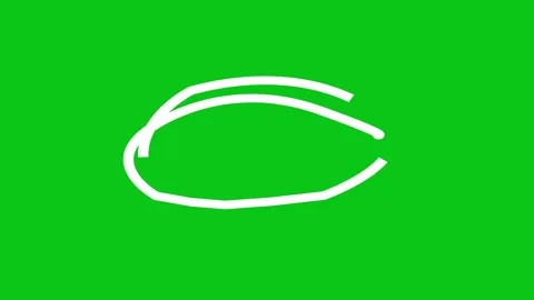 Circle highlight Animated. Hand draw circles art animated. Stock Footage 302241546